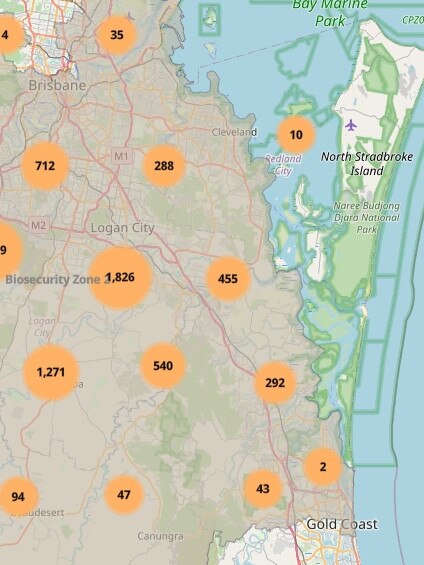 The latest mapping, as of June 2023, showing the spread of fire ants to the Gold Coast.