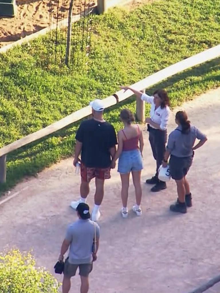 Taylor visited Sydney Zoo on Wednesday and Thursday this week. Picture 9News