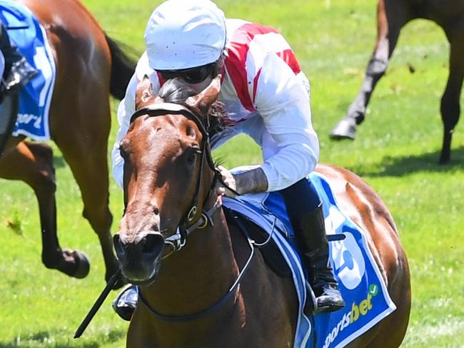 My Gladiola ridden by Jamie Mott wins the Sportsbet Blue Diamond Preview (F)(Chute) at Sportsbet Sandown Lakeside Racecourse on January 25, 2025 in Springvale, Australia. (Photo by Pat Scala/Racing Photos via Getty Images)