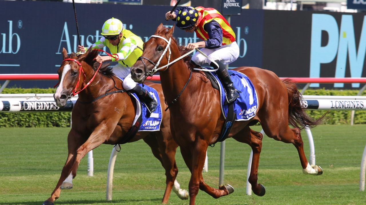 Eduardo (inside) fought back to beat Nature Strip in tghe Challenge Stakes. Picture: Grant Guy