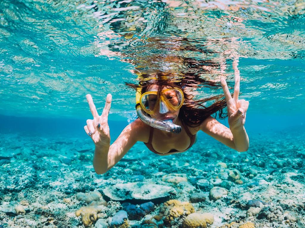 Immerse yourself in the reef by snorkelling or diving. Picture: iStock