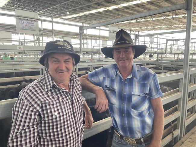 Brothers Mick and Col Mullane from Balkan sold a huge 584 steers and heifers at the Nutrien Ballarat weaner sale.  Picture: Petra Oates