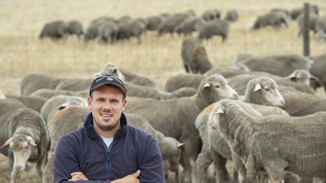 Steven Wishart with his Poll Merinos. Picture: Zoe Phillips