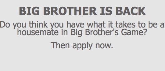 What the Big Brother application looks like.