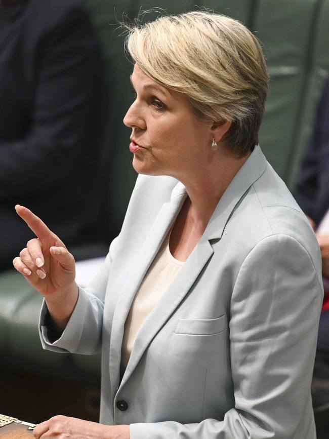 Tanya Plibersek