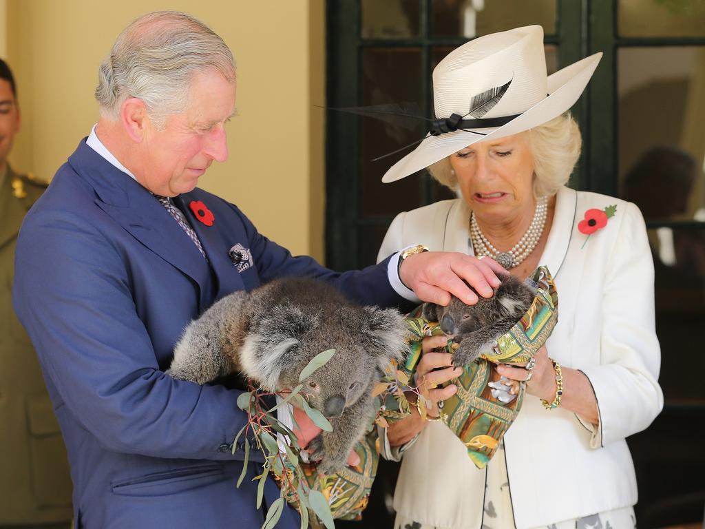 2012: In Australia to mark the Queen’s Diamond Jubilee, Prince Charles and Camilla paid a visit to Governament house in Adelaide, with Camilla looking slightly terrified of holding a koala. Picture: Chris Jackson/Getty Images