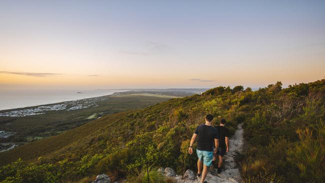 Walks near Peregian Beach.