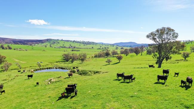 Dunollie Park at Tooma, NSW has sold under the hammer for $8.9 million.