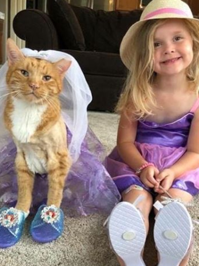 Bailey was very tolerant and loved playing dress-ups. Source: Instagram/Bailey No Ordinary Cat