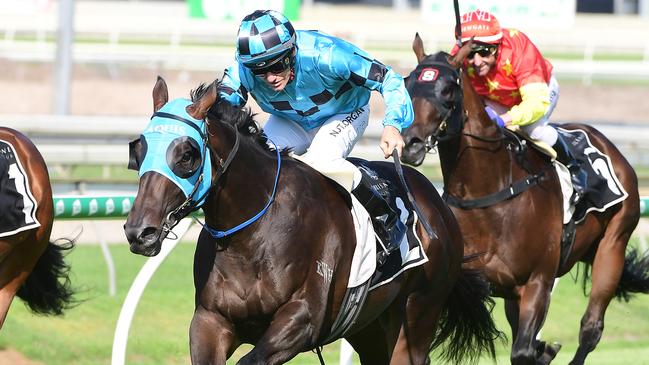 Magic Millions 2YO Classic contender Rathlin. Picture: Trackside Photography