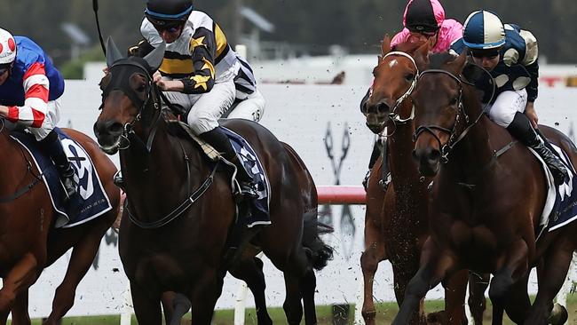 SYDNEY, AUSTRALIA - OCTOBER 12: Nash Rawiller riding Here To Shock wins Race 8 Alan Brown Stakes during Sydney Racing at Rosehill Gardens on October 12, 2024 in Sydney, Australia. (Photo by Jeremy Ng/Getty Images)