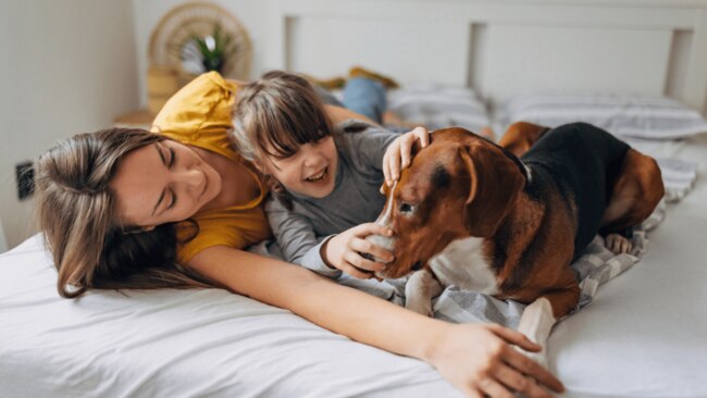 The furry family member. Image: iStock