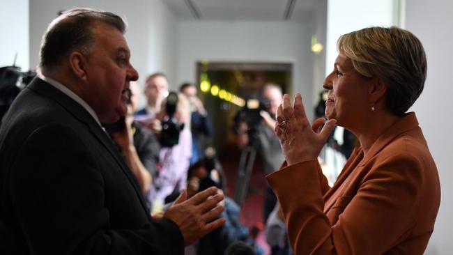 Liberal member for Hughes Craig Kelly and Labor’s Sydney MP Tanya Plibersek at Parliament House on Wednesday. Picture: Getty Images