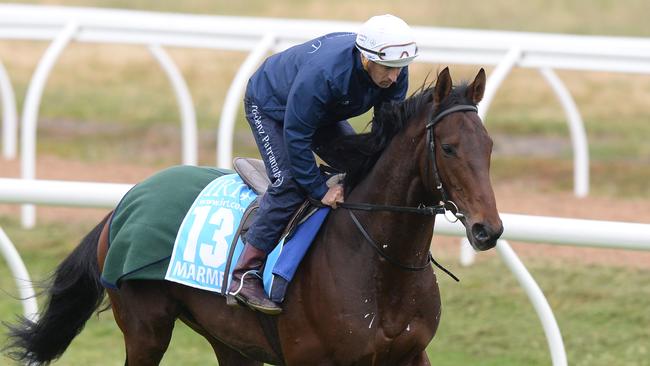 Marmelo is the right age to win the Melbourne Cup. Picture: AAP