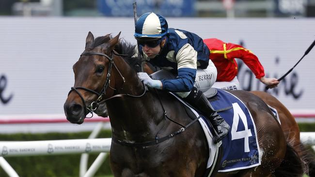 DAILY TELEGRAPH - 5/11/24The Big Dance race day at Randwick Racecourse today.  Tommy Berry rides no.4 GRINGOTTS to victory in The Big Dance. Picture: Sam Ruttyn