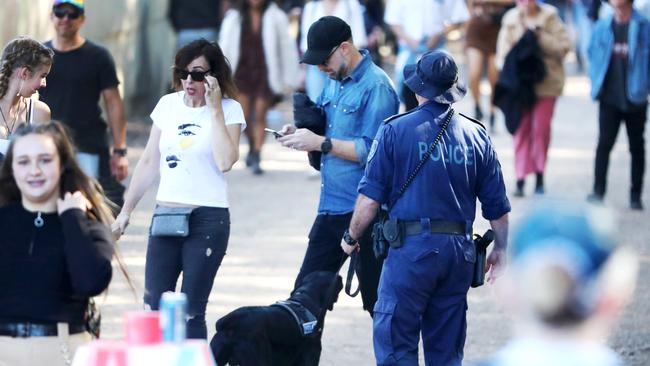 Police have targeted music festivals with sniffer dog operations. Picture: Nigel Hallett