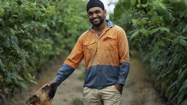 Amanpreet Lehl at his farm near Coffs Harbour, NSW. Picture: Nic Walker