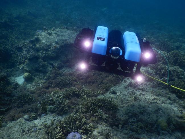 Remotely operated submersible in action in Brisbane Water searching for soft corals.