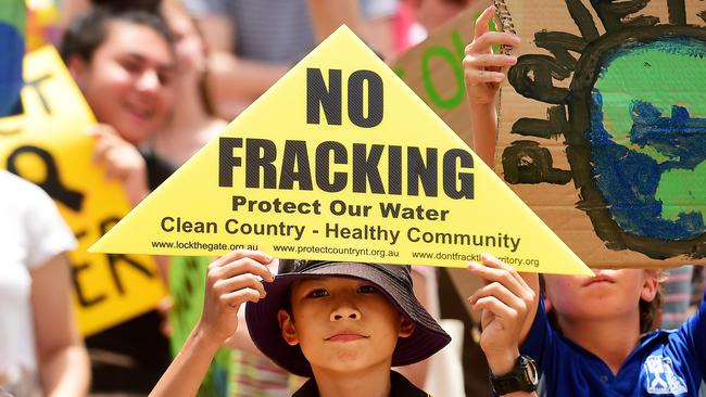 Protestors of all ages were in attendance on Friday for the Climate Change protest outside of NT Parliament House, as part of an Australia wide protest.Picture: Justin Kennedy