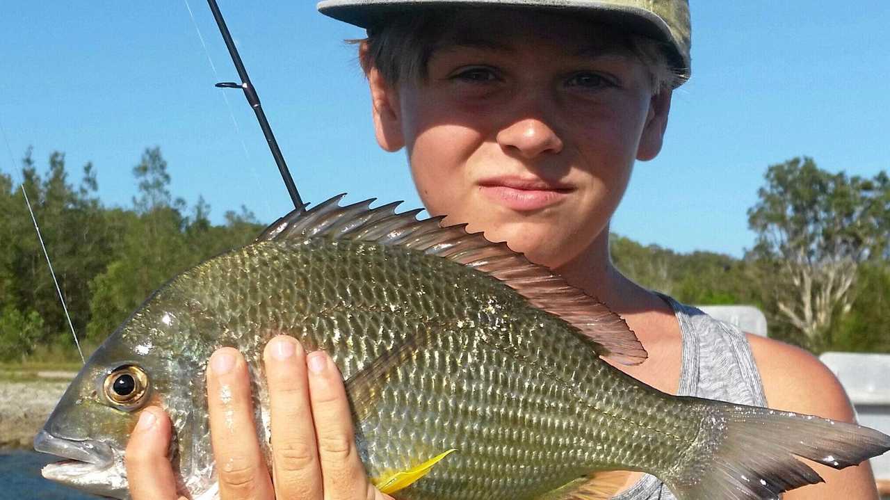 Spring brings whiting as water warms