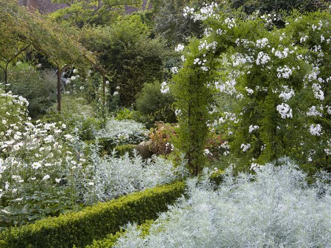 EMBARGO FOR TWAM 05 NVEMBER 2022. FEE MAY APPLY.  FDJE78 Solanum jasminoides "Album" over the arch in the White Garden at Sissinghurst Castle Garden, near Cranbrook, Kent.