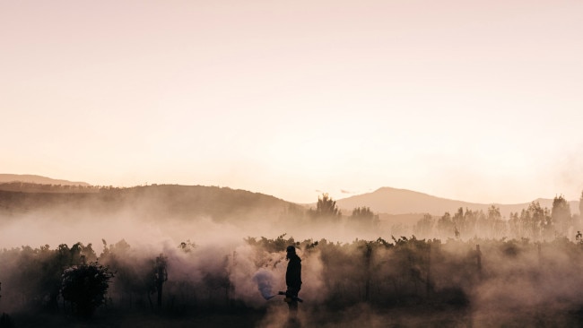 Tasmania s best wineries cellar doors winery lunches escape