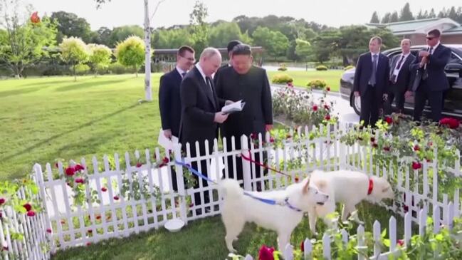 Putin, Kim bond over dogs, horses and driving