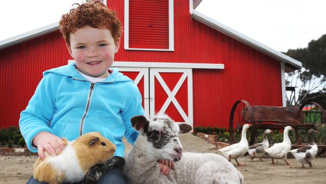 Be a farmer for the day at The Big Goose.