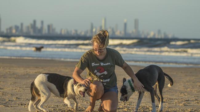 Charlie Bowman with Haze and Brew her Australian Koolies at Palm Beach off leash area. Picture: Glenn Campbell