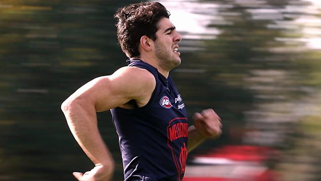 Christian Petracca strides out. Picture:Wayne Ludbey