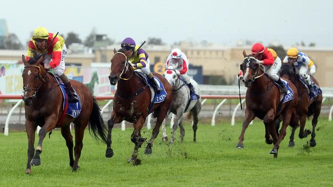 Moss Go Now, ridden by Luke Rolls, bobs up at long odds at the Gold Coast. Photo: Richard Gosling