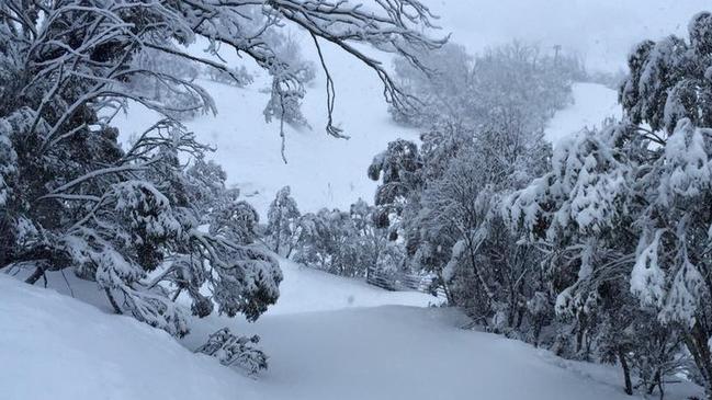 Thredbo today. Nicer than when you are, we’re guessing. Pic: Thredbo Facebook.