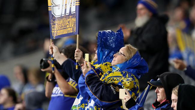 Eels fans at Bankwest Stadium show their support in the NRL match between the Parramatta Eels and St George Illawarra Dragons.