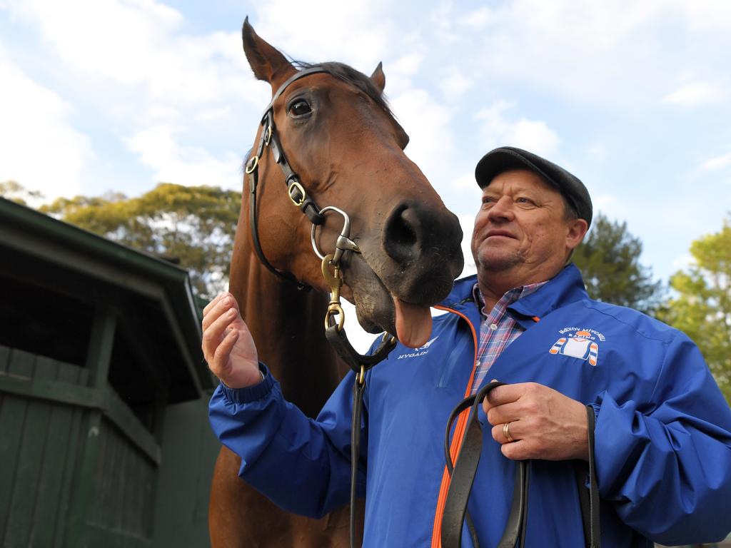 McEvoy with Sunlight at her Sydney stables after trackwork at Royal Randwick this year.