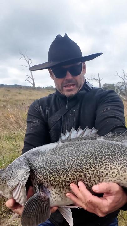 Fisherman catches massive fish with his bare hands