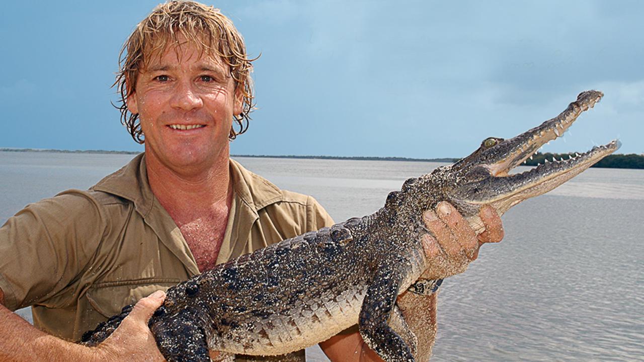 Steve Irwin died in 2006 after being pierced in the chest by a stingray.