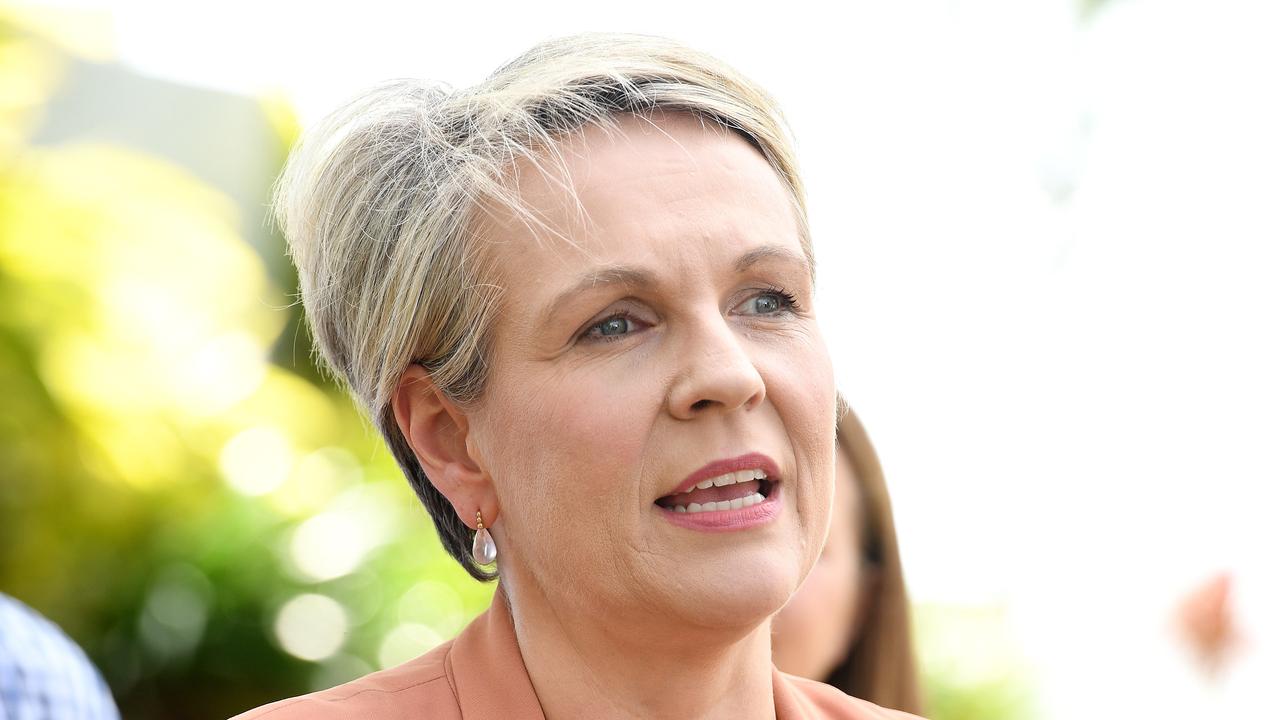 Minister for the Environment and Water Tanya Plibersek in Townsville this week. Picture: Shae Beplate.