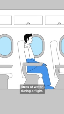 What happens to your body on a flight