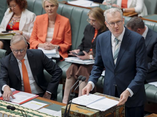 Critics of Home Affairs Minister Tony Burke (pictured right) say he doesn’t have the “stomach” to make tough decisions. Picture: NewsWire