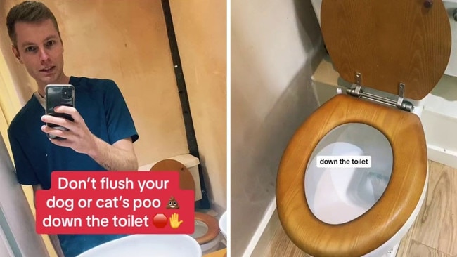 Veterinary surgeon explains risks of flushing cat or dog poop down the toilet. Pictures: Instagram