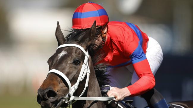 No prizes for guessing who was Australia’s No.1 racehorse. James McDonald on Verry Elleegant. Photo: by Mark Evans/Getty Images