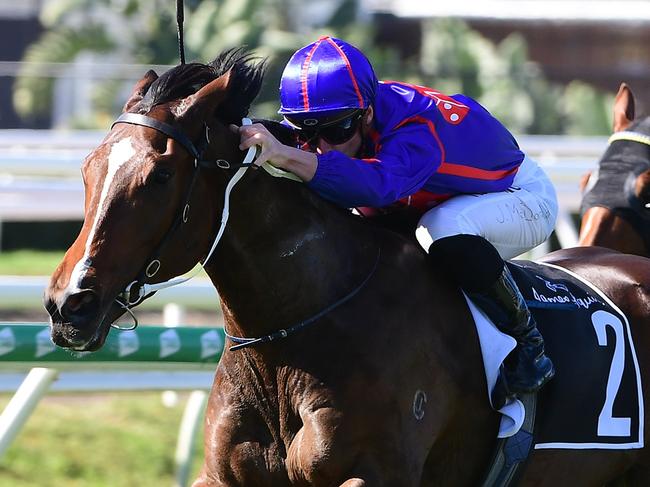 Ayrton winning the Gunsynd Classic at Eagle Farm. Picture: Grant Peters/ Trackside Photography