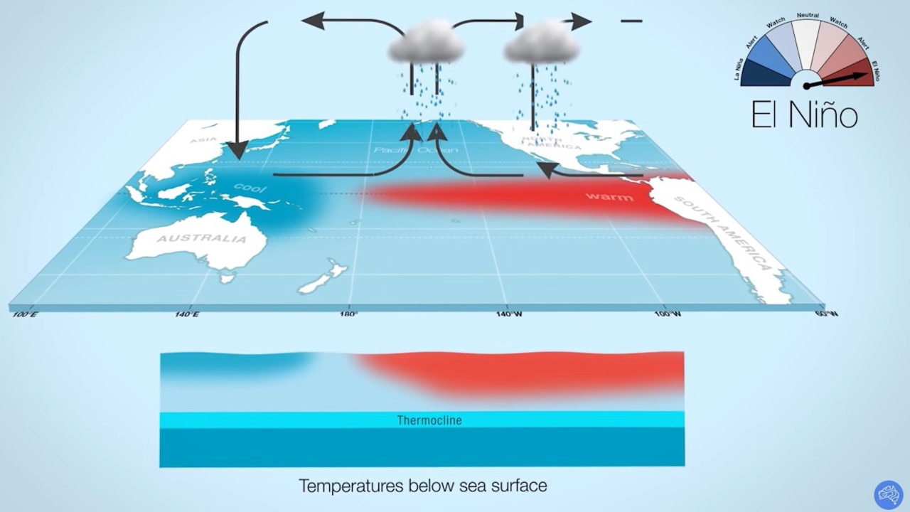 El Nino is likely to form in spring, Bureau of Meteorology says The