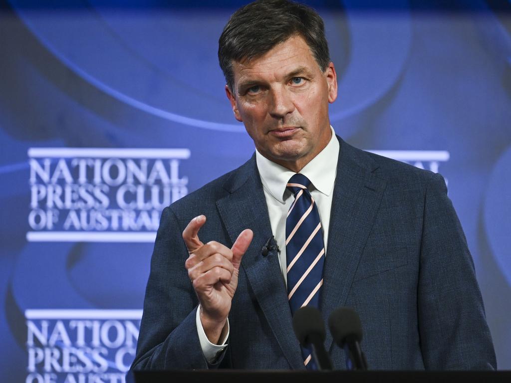 Opposition Treasury spokesman Angus Taylor says the government needs to have a better migration strategy. Picture: NCA NewsWire / Martin Ollman