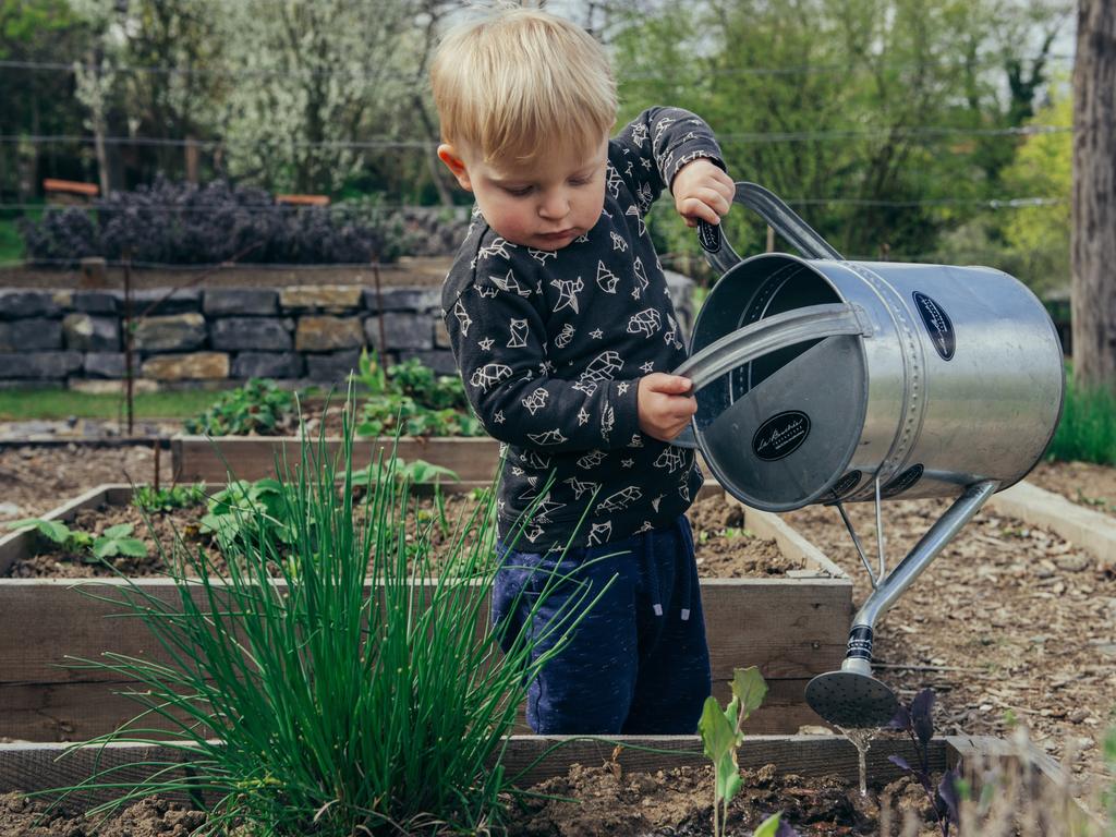 Watering in the morning is best.