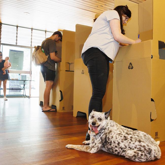 Six million Australians have now pre-polled or submitted their postal votes, such as Tilly Birch of Jindalee who voted with her 10 year old Cattle dog, Mog. Picture Lachie Millard