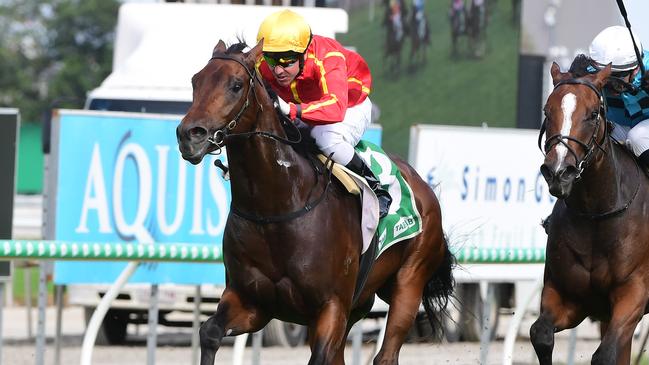 Unbeaten colt Nettuno winning the Group 3 Ken Russell Memorial Classic at Gold Coast in May. Picture: Grant Peters-Trackside Photography