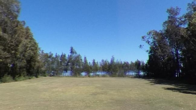 Regenerating casuarina trees in Long Jetty Foreshore Park on Tuggerah Parade.