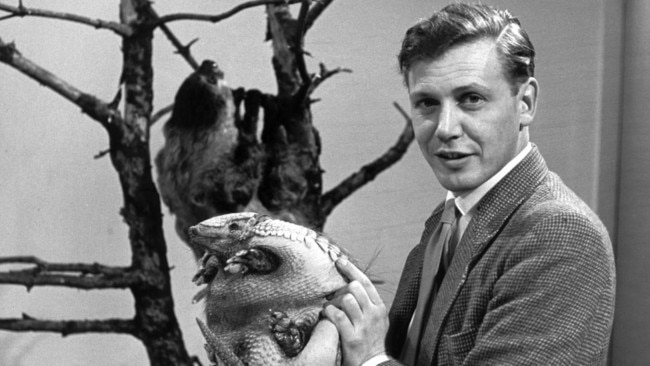 David Attenborough, right, with a pangolin in 1963. Picture: BBC