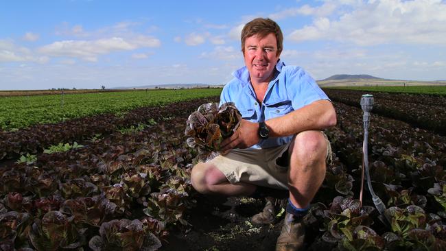 QB Monthly: Demand for lettuce helps Andrew Dewar’s SAS Pastoral turn ...